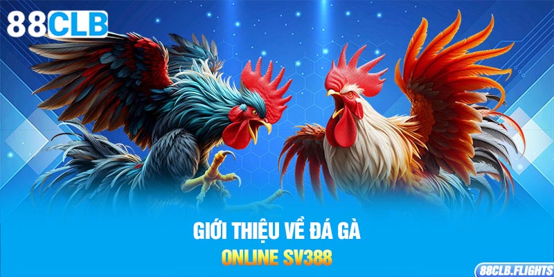 gioi-thieu-ve-da-ga-online-sv388