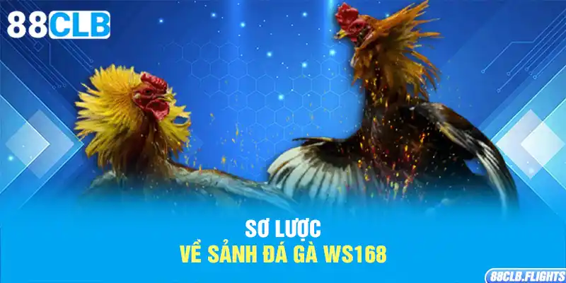 so-luoc-ve-sanh-da-ga-ws168