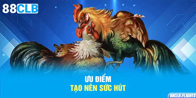 uu-diem-tao-nen-suc-hut