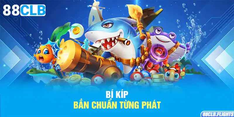 bi-kip-ban-chuan-tung-phat