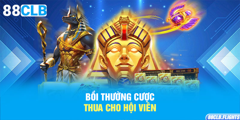 boi-thuong-cuoc-thua-cho-hoi-vien