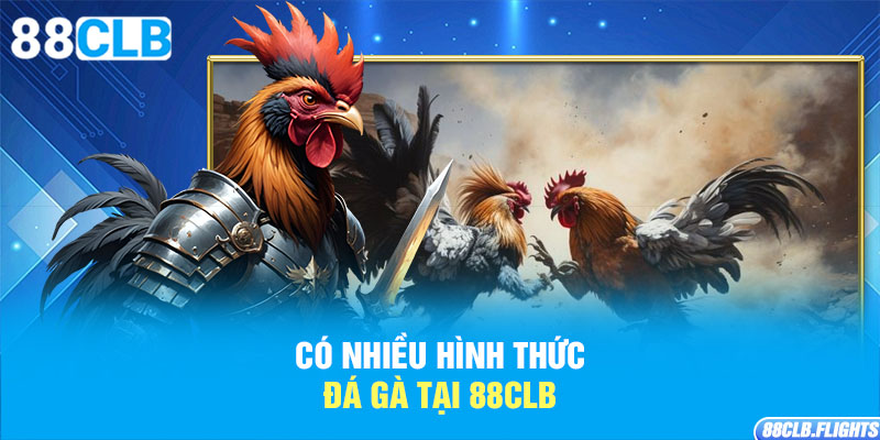 co-nhieu-hinh-thuc-da-ga-tai-88clb