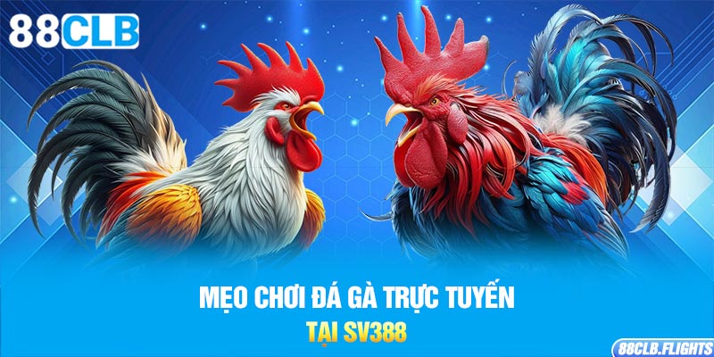 meo-choi-da-ga-truc-tuyen-tai-sv388