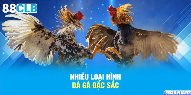 nhieu-loai-hinh-da-ga-dac-sac